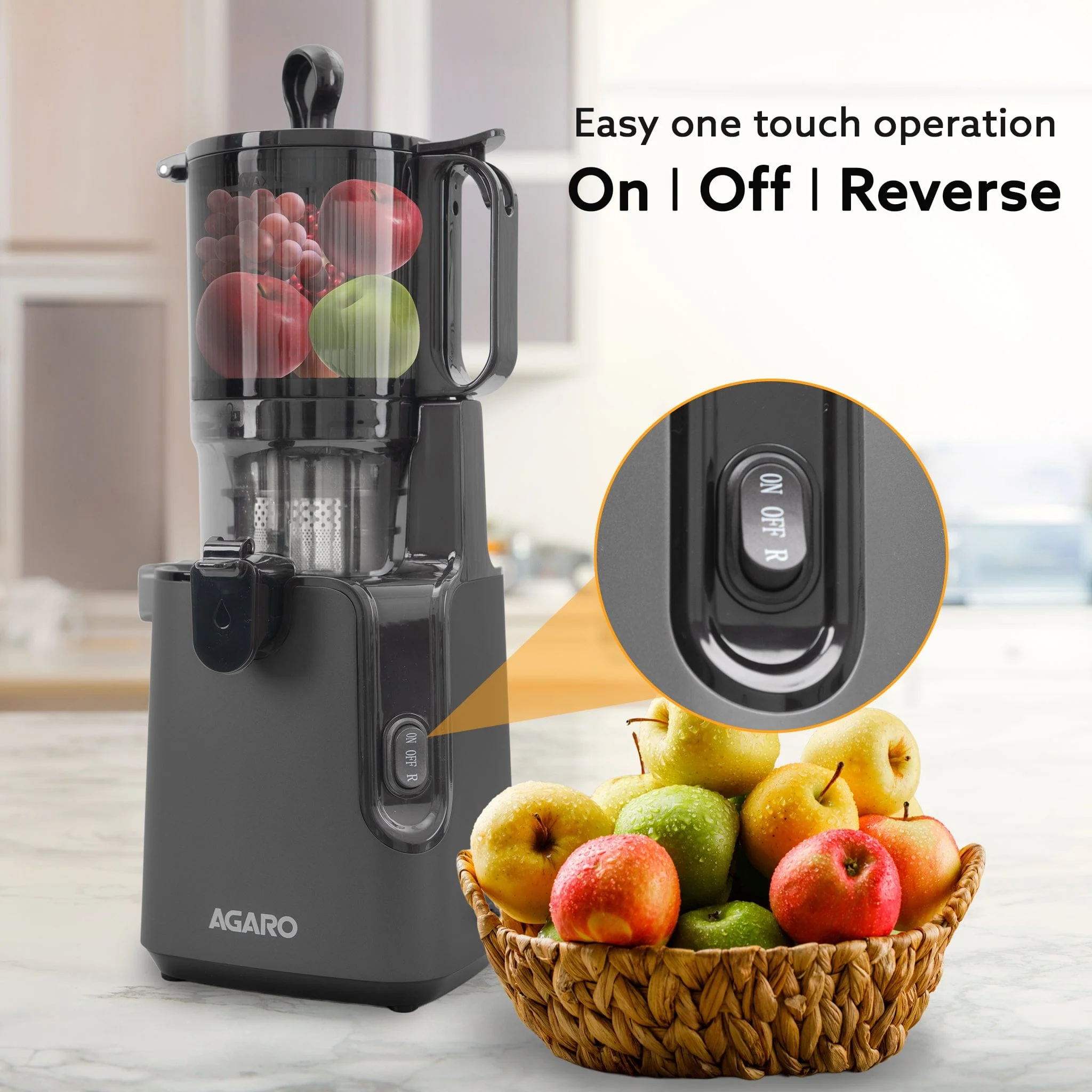 Regal Cold Press Slow Juicer, 250 Watt DC Motor, Easy Assembly & Cleaning, Auto Reverse, Advanced Safety Lock, Fruit & Vegetable Juicer & Nut Milk, Stainless Steel Filter, BPA Free Plastic - Image 8