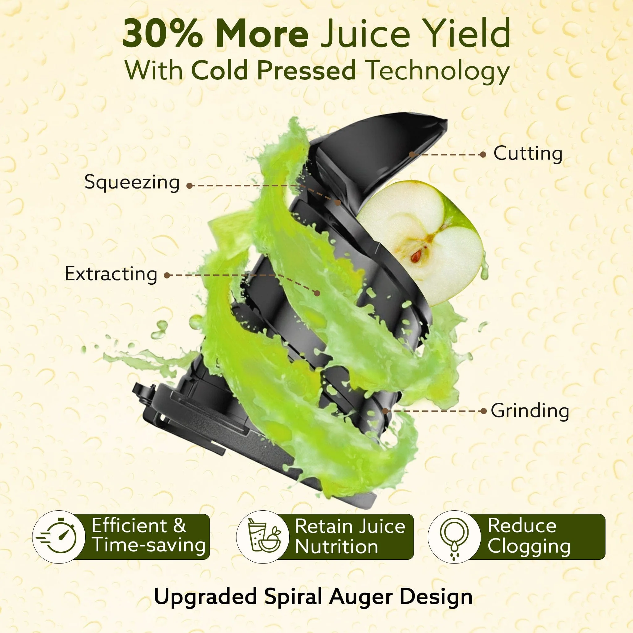 Regency Slow Juicer, 250 Watt AC Motor, Cold Pressed - Fruit, Vegetable Juicer & Nut Milks, Easy Assembly & Cleaning, Intelligent Safety Features & Auto Reverse, Stainless Steel Filter, BPA-Free - Image 3